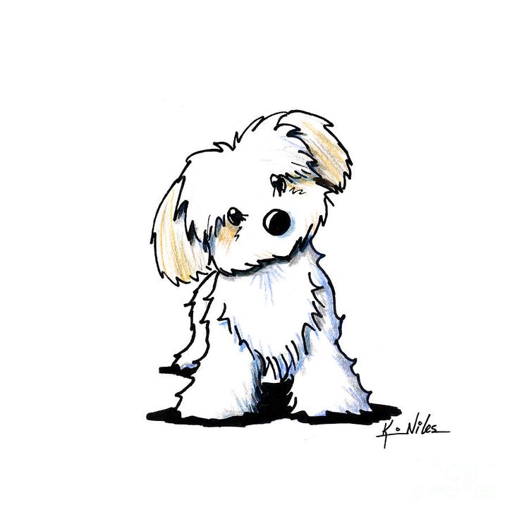 736x736 Drawn Cartoon Doggy