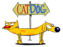 262x197 Catdog