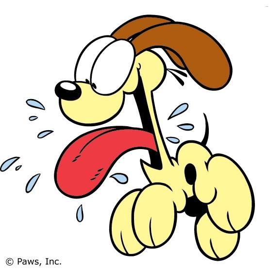 554x554 310 Best Garfield Images Cartoon, Draw And Friends