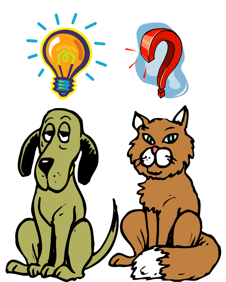 720x900 Are Dogs More Intelligent Than Cats Psychology Today