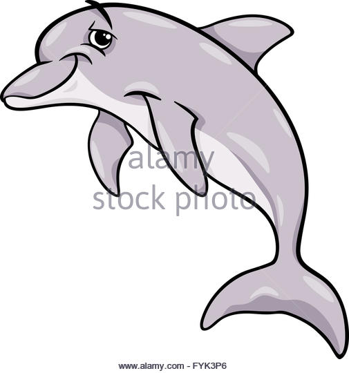 505x540 Funny Dolphin Cartoon Stock Photos Amp Funny Dolphin Cartoon Stock