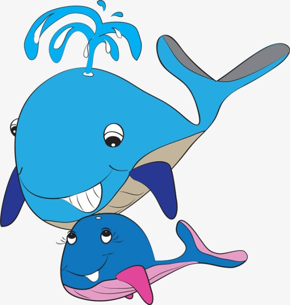 571x600 Cartoon Dolphins, Cartoon, Dolphin, Water Spray Png Image For Free