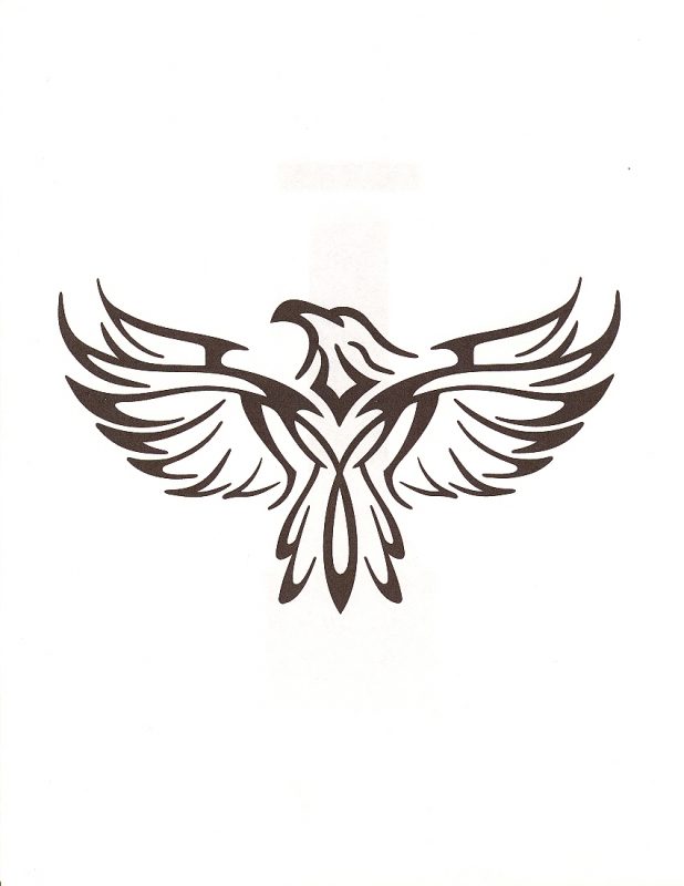 618x800 Adult Pictures Of Cartoon Eagles Free Cartoon Pictures Of Eagles