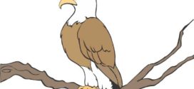 272x125 Cartoon Eagle On Cartoon Eagles