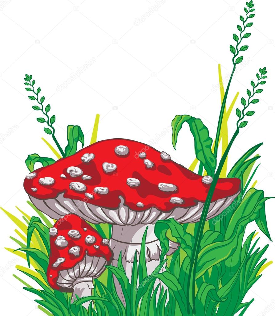 893x1024 Cartoon Style Amanita Mushrooms And Grass Stock Vector