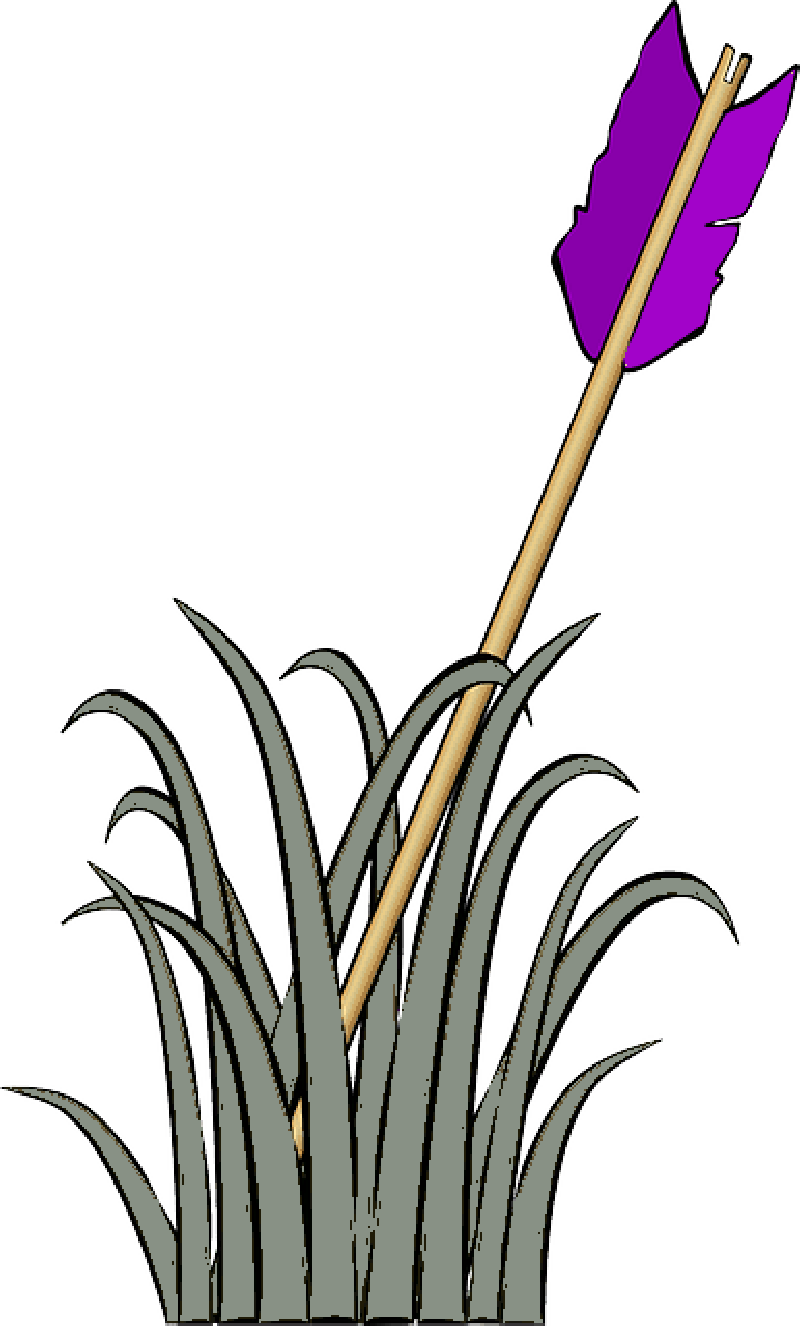 800x1326 Arrow, Feather, Cartoon, Purple, Grass, Ground, Hit