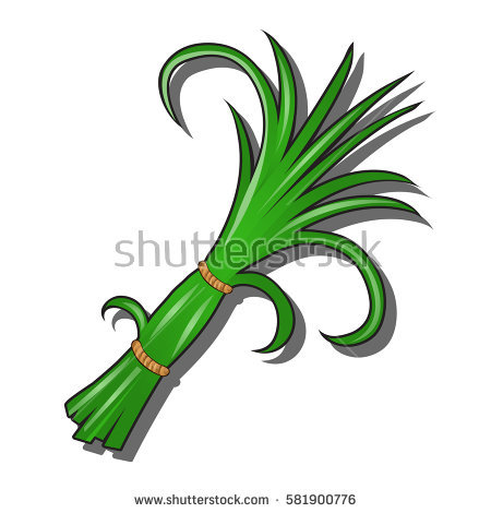 450x470 Grass Clipart Bundle