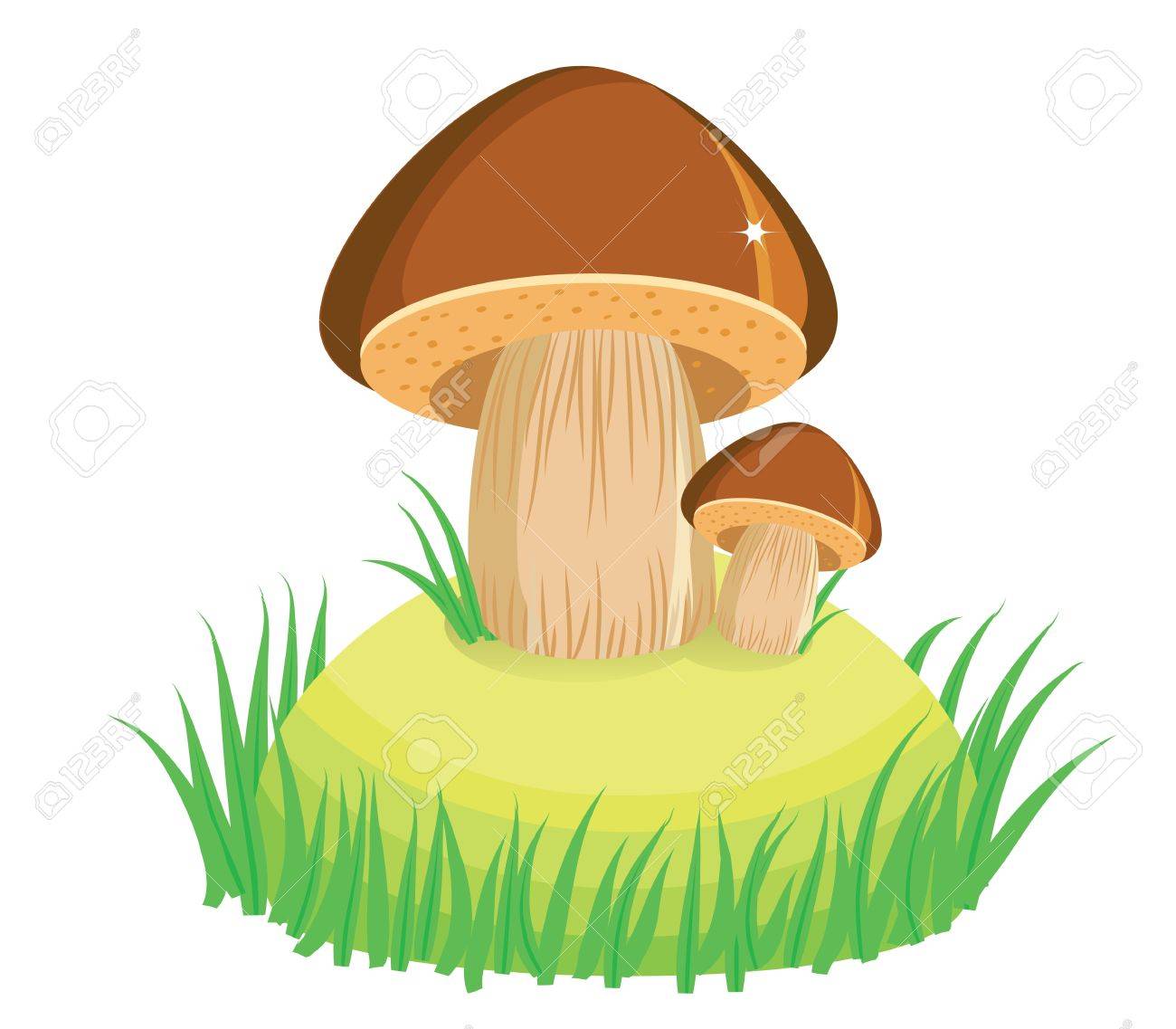 1300x1137 Mushrooms And Green Grass.vector Cartoon Illustration On White