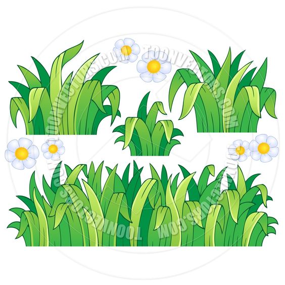 564x564 Grass Cartoon