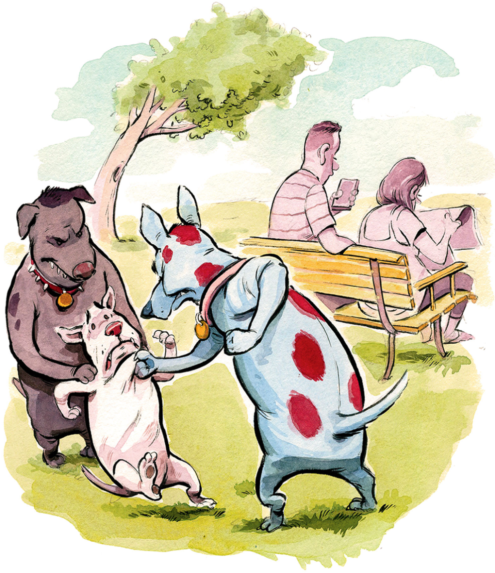 994x1152 How To Deal With Aggressive Dogs