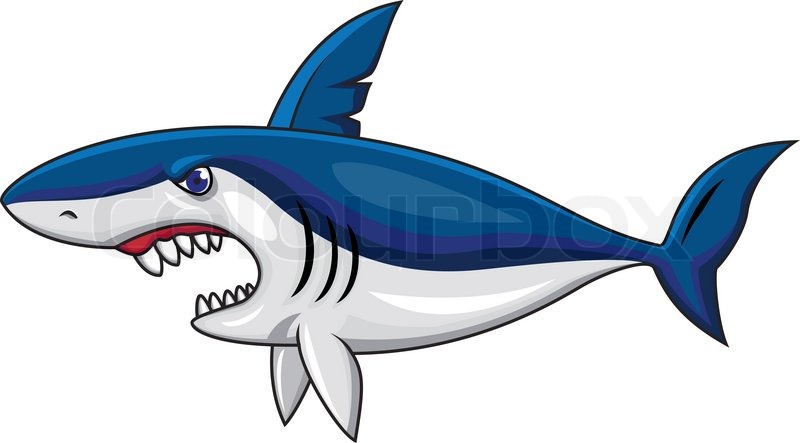 800x443 Cartoon Sharks With Various Expressions From Fierce And Evil