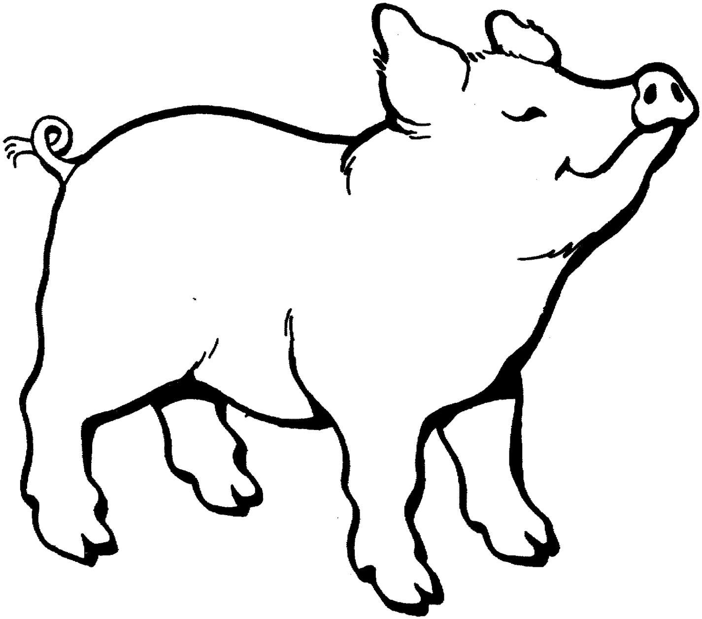 1425x1257 Pig Clipart Black And White