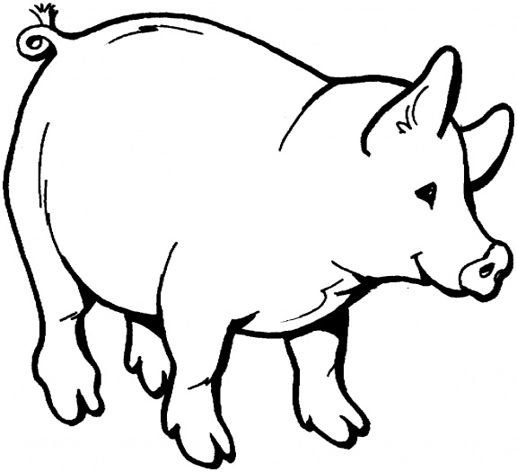 576x525 Pig Outline Clip Art Many Interesting Cliparts