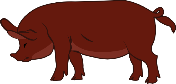 600x286 Pig Clipart Red