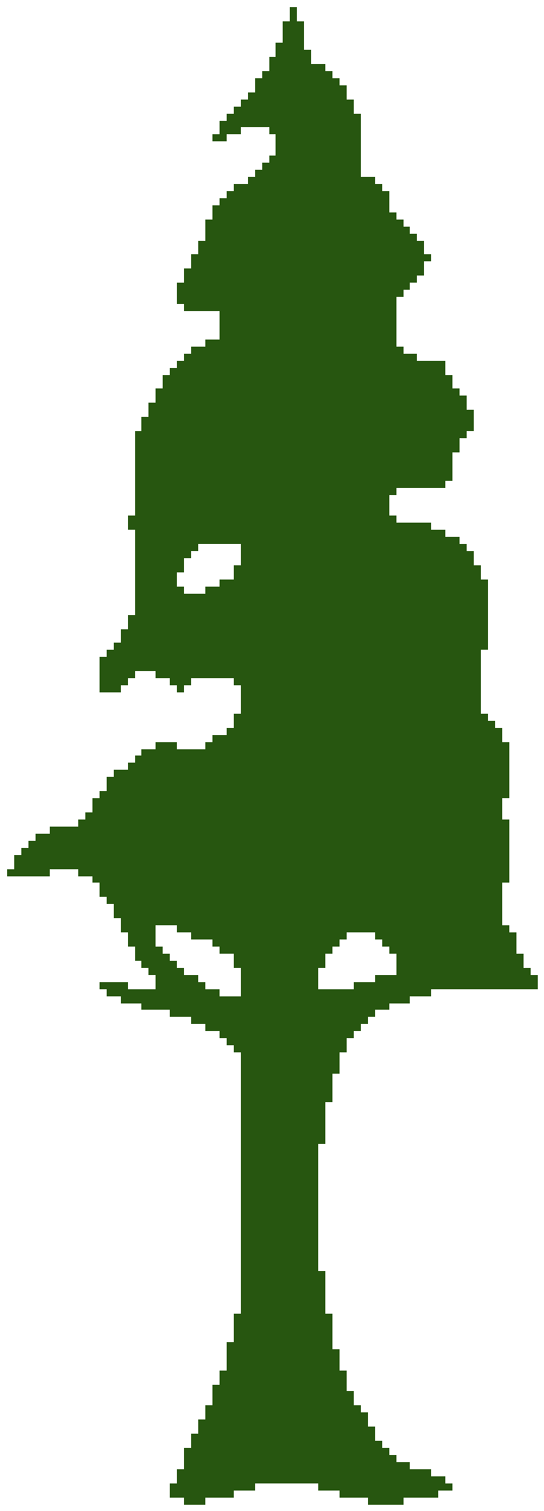 612x1700 Wallpaper Clipart Pine Tree