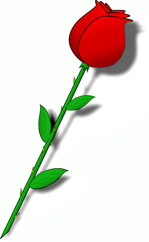 485x785 Clip Art Rose Many Interesting Cliparts