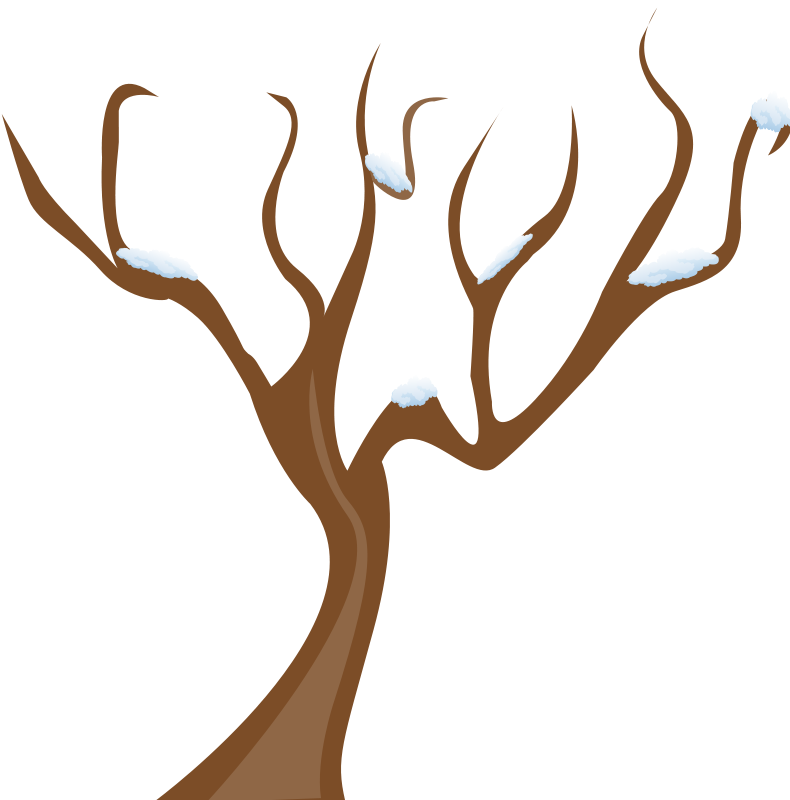 790x800 Free Tree Clipart