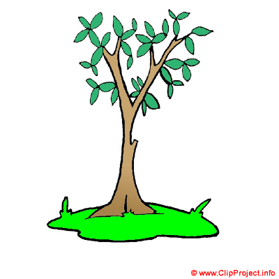400x400 Tree Clip Art
