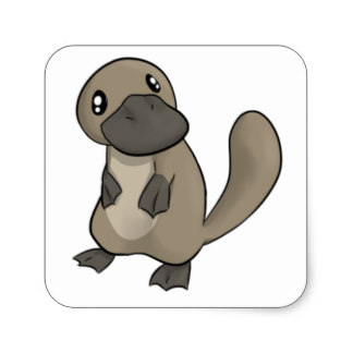 324x324 Cute Platypus Stickers Zazzle