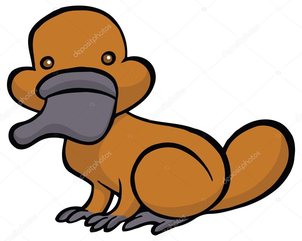 1024x817 Funny Cartoon Platypus Stock Vector Annasuchkova