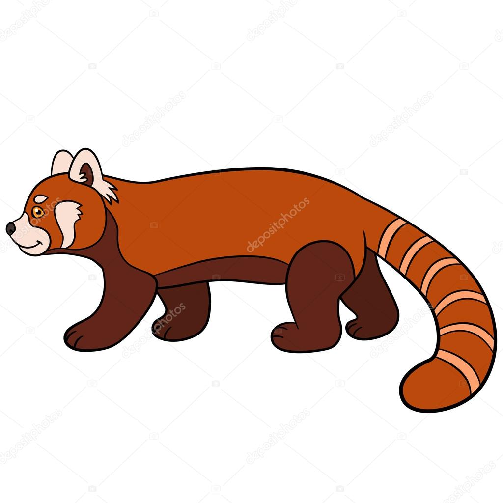 1024x1024 Cartoon Wild Animals. Little Cute Red Panda Walks. Stock Vector