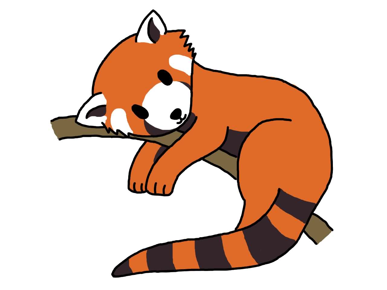 1280x960 Face Clipart Red Panda