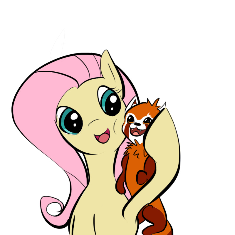 800x800 Fluttershy's Red Panda By Sunsomething