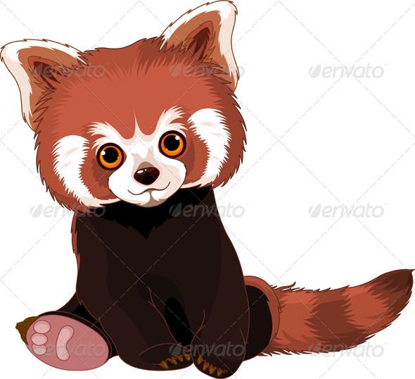 590x538 Red Panda Clipart Drawn