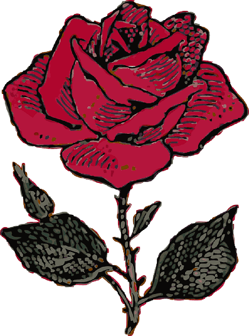 800x1080 Red, Outline, Flower, Cartoon, Love, Rose, Rosa, Free