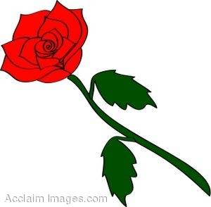 300x294 Red Rose Clipart Cartoon