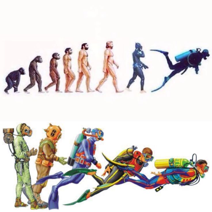 736x736 548 Best Scuba Diving Images Cozumel, Dive Shop