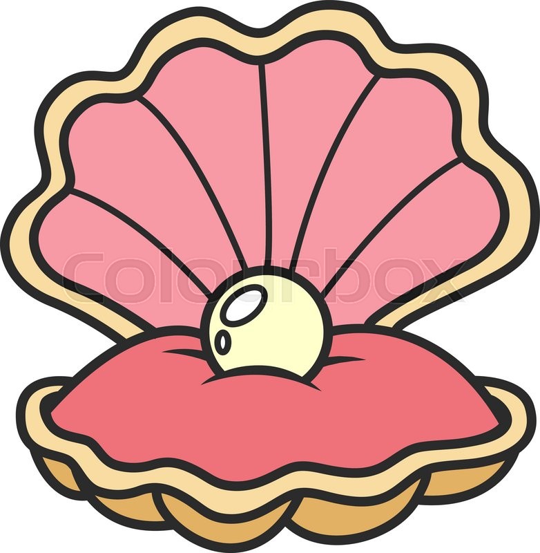 782x800 Open Seashell With Pearl , Part Of The Collection Of Marine Life