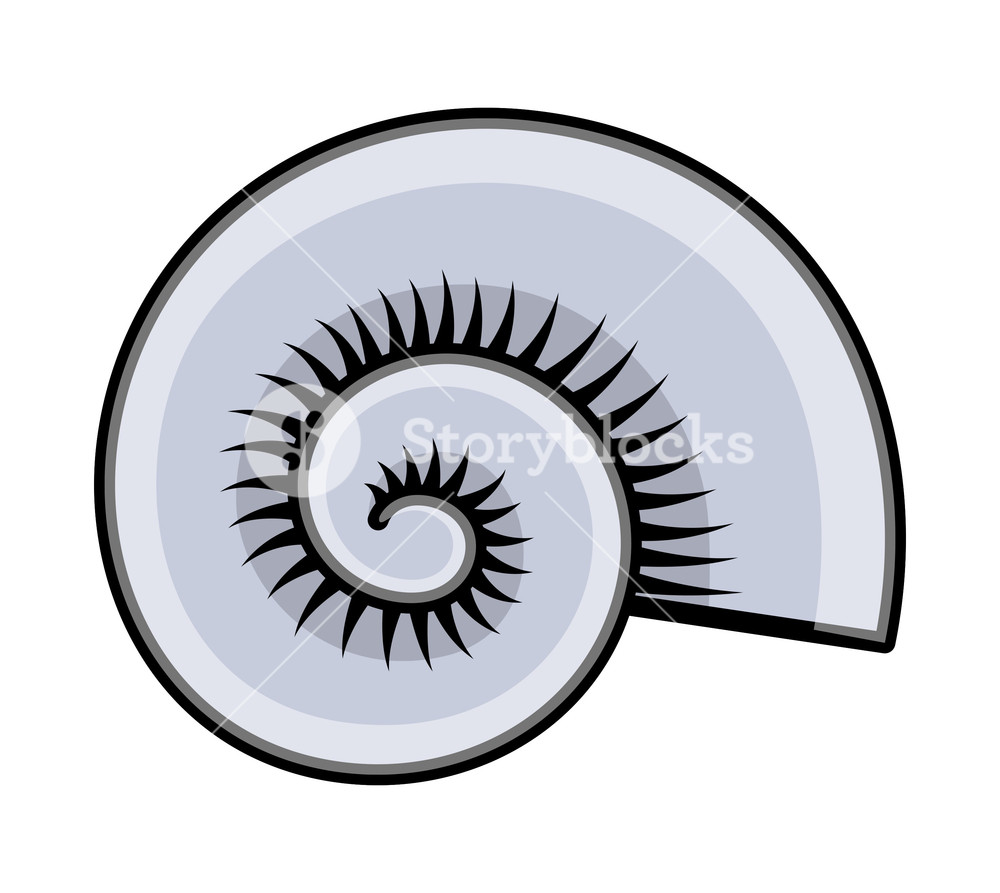 1000x893 Cartoon Circular Sea Shell Vector Royalty Free Stock Image