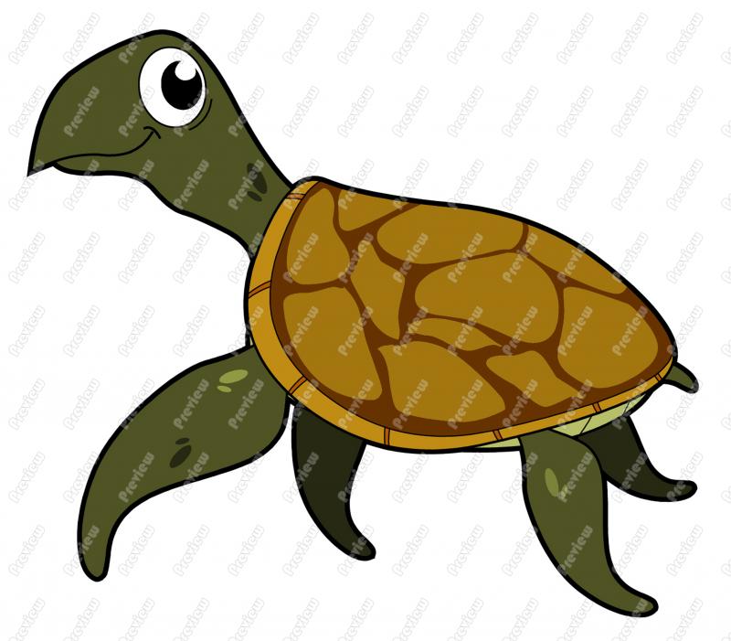 800x701 Sea Turtle Character Clip Art