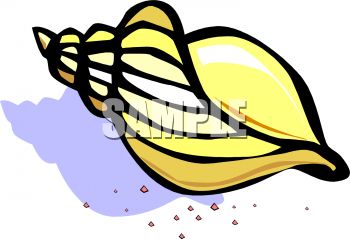 350x239 Conch Seashell Clipart, Explore Pictures