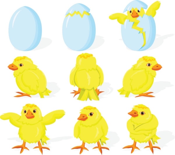 600x532 Sea Shell Vectors Free Vector Download (1,574 Free Vector)