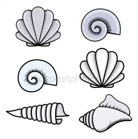 446x450 Seashell Stock Vectors, Royalty Free Seashell Illustrations
