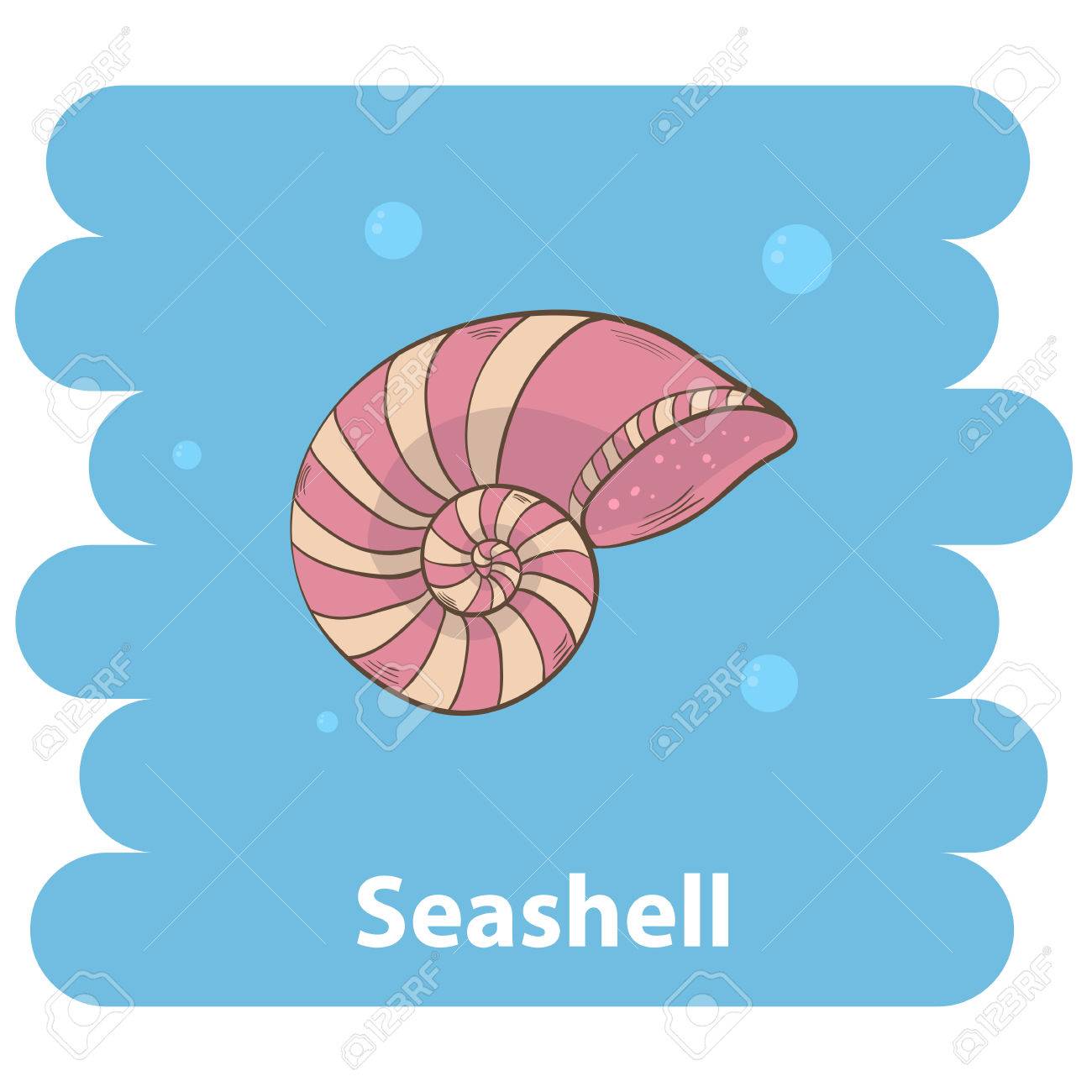 1300x1300 Seashell.cartoon Seashell Vector Illustration.cartoon Animal