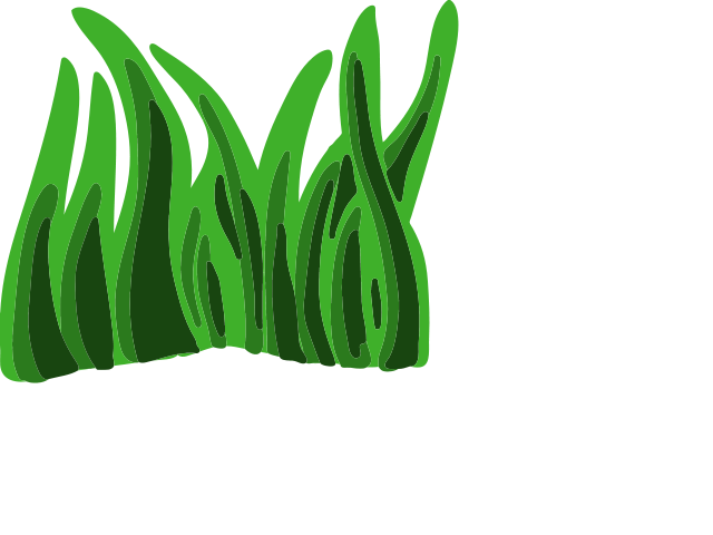 640x480 Graphics For Animated Seaweed Graphics