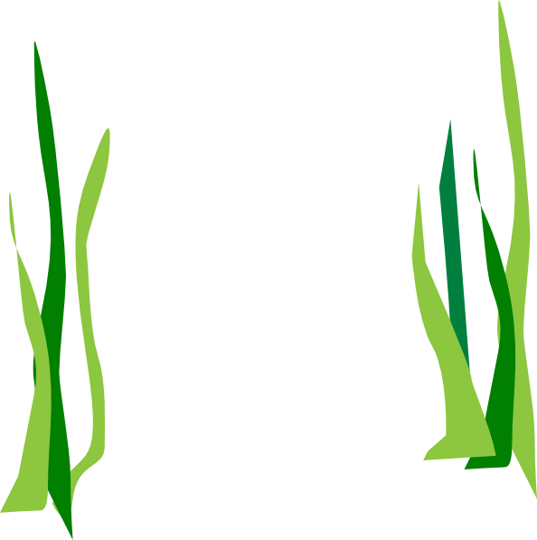594x597 Green Reeds Clip Art
