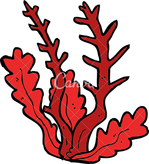 500x550 Cartoon Seaweed