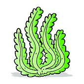 170x170 Seaweed Clip Art