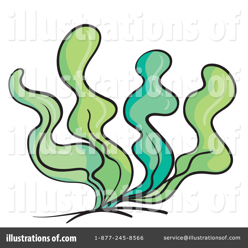 1024x1024 Seaweed Clipart