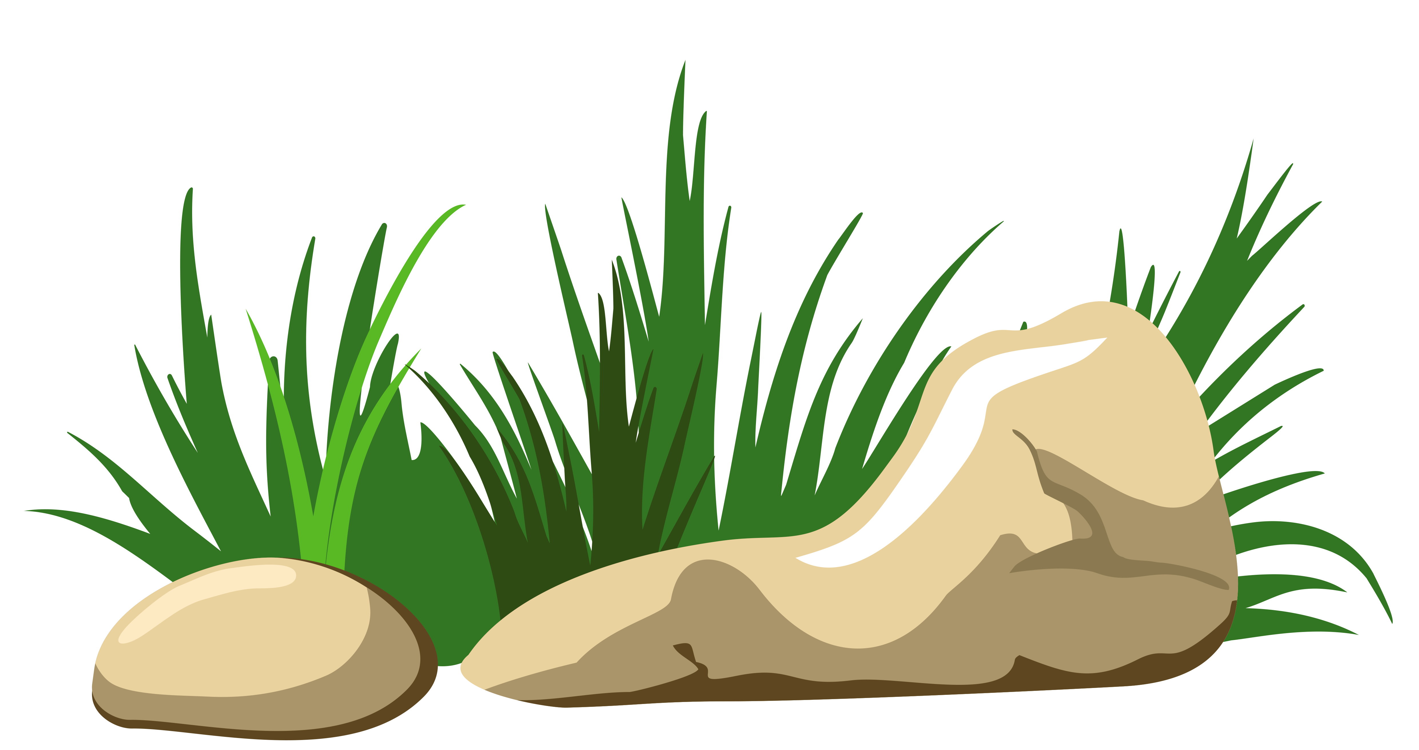 4963x2624 Seaweed Clipart Seagrass