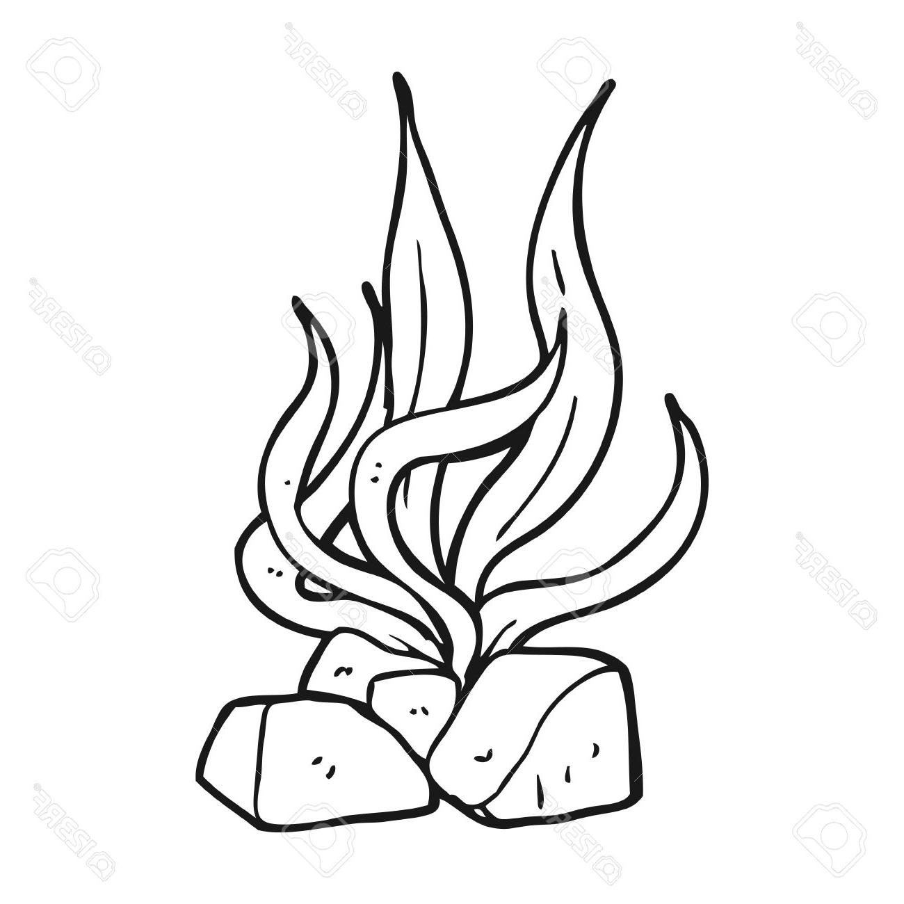 1300x1300 Top Freehand Drawn Black And White Cartoon Seaweed Stock Vector Photos