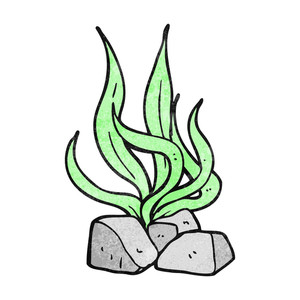 300x300 Freehand Drawn Cartoon Seaweed Royalty Free Stock Image