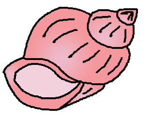 313x252 Shell Clip Art