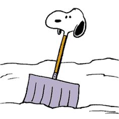 236x236 Funny Cartoon Pics To Share On Face Snow Share This Cartoon