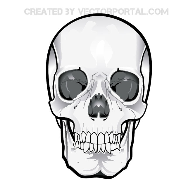660x660 Skull Clipart Vector