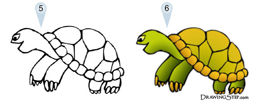 500x200 Drawing Cute Cartoon Turtle Step By Step